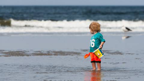 Percy op het strand